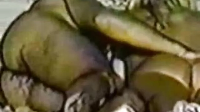 زب افلام سكس اجنبي مجانى التدليك مع اللسان