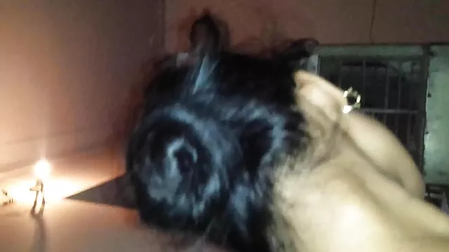 اثنين من الأزواج سكس اجنبي تحميل مجاني الجنس في الطبيعة