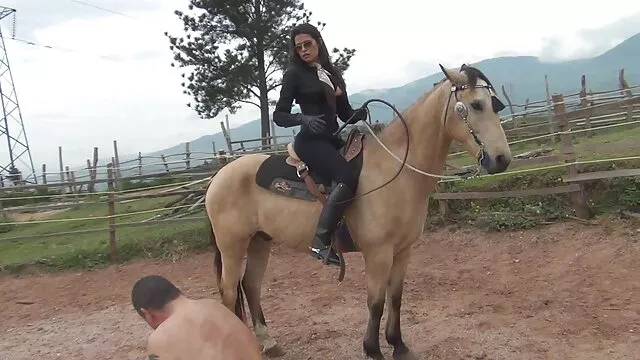 ديك في جنس اجنبي مجاني الحمار